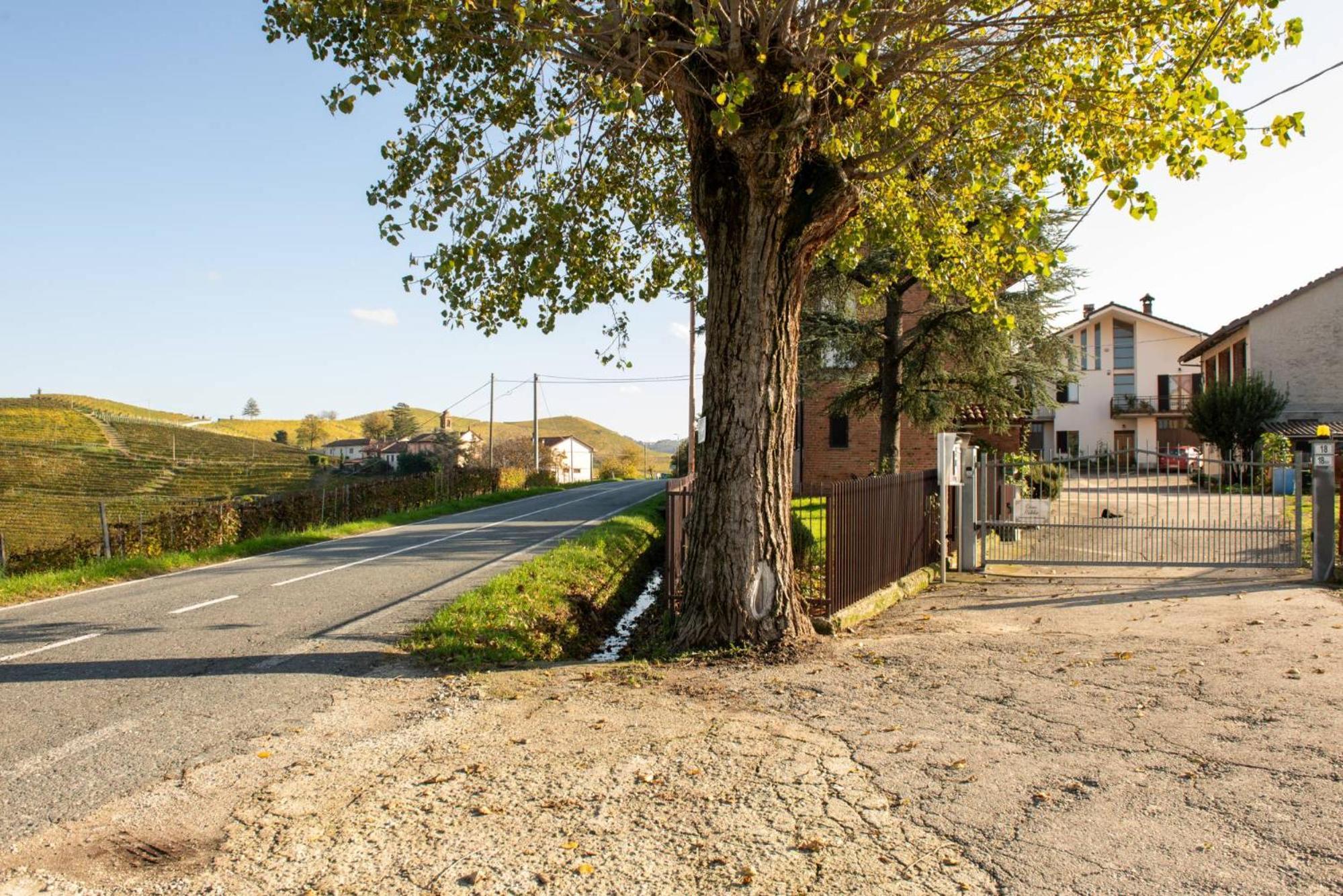 Casa Rubbo - Appartamento In Collina 'Monviso' Alba  Exteriör bild